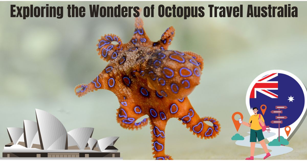 Exploring the Wonders of Octopus Travel Australia